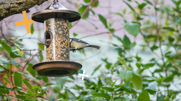 Bird Feeders