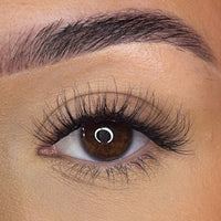Pre-Glued Lash Clusters -  Faff Lash - Mia