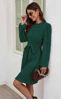Cozy Soft Long Sleeve Kint Mini Dress In Dark Green