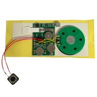 30s Greeting Card Recordable Voice Chip | DIY Sound Module Music | Audio Player
