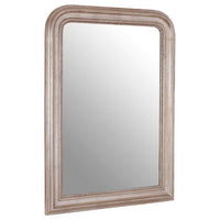 Gaia Silver Wood Wall Mirror