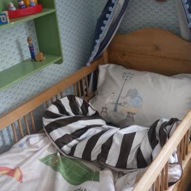 Follies in the Park - Whimsical Reversible Bedding Collection