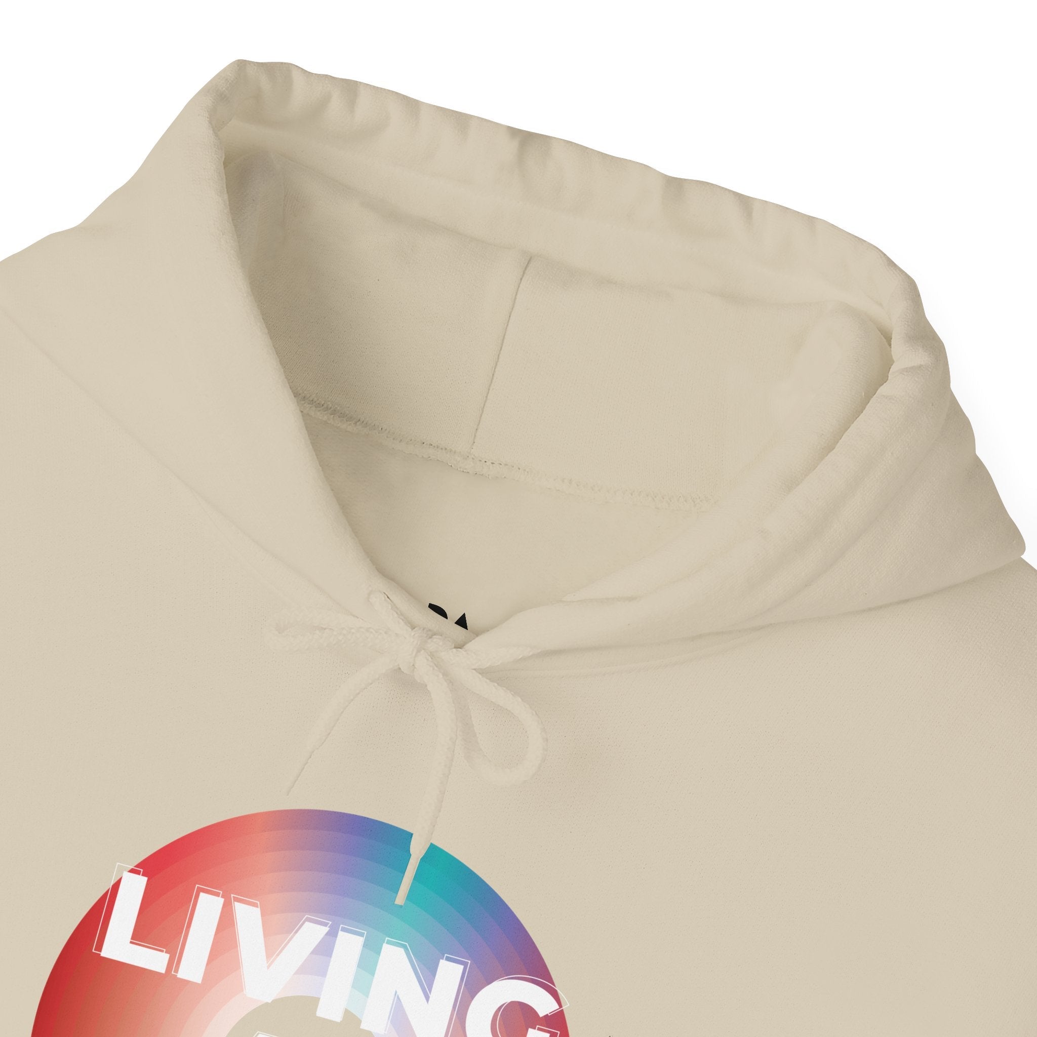 'Living at 33rpm' Men's Hoodie