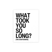 Courteeners - What Took You So Long? (White + Black)