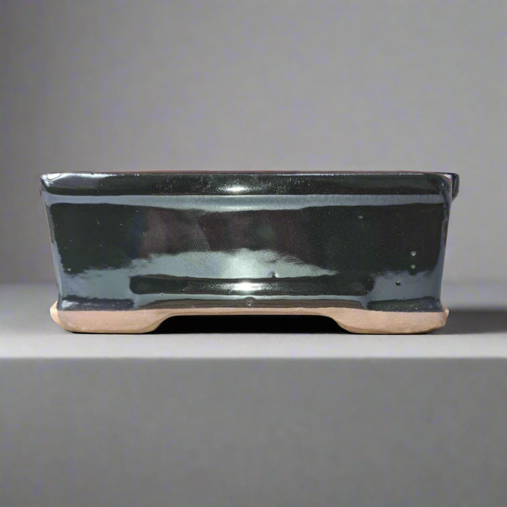Sleek Black 16cm Rectangular Glazed Bonsai Pot for Elegant Plant Display