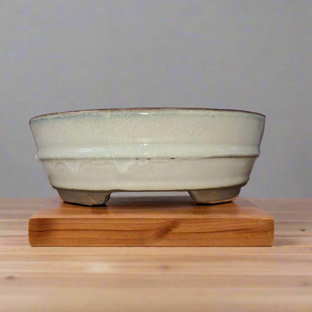 Oval White Glazed Bonsai Pot - 16cm Perfect for Stylish Plant Displays