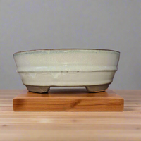 Oval White Glazed Bonsai Pot - 16cm Perfect for Stylish Plant Displays