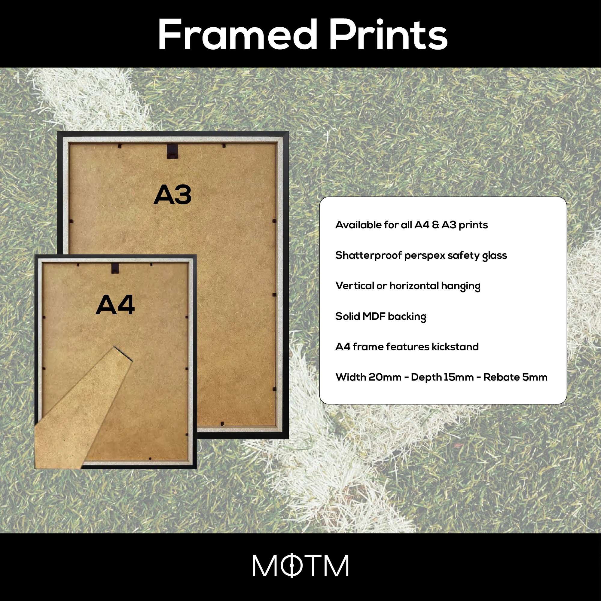 Emirates Stadium Photography Print