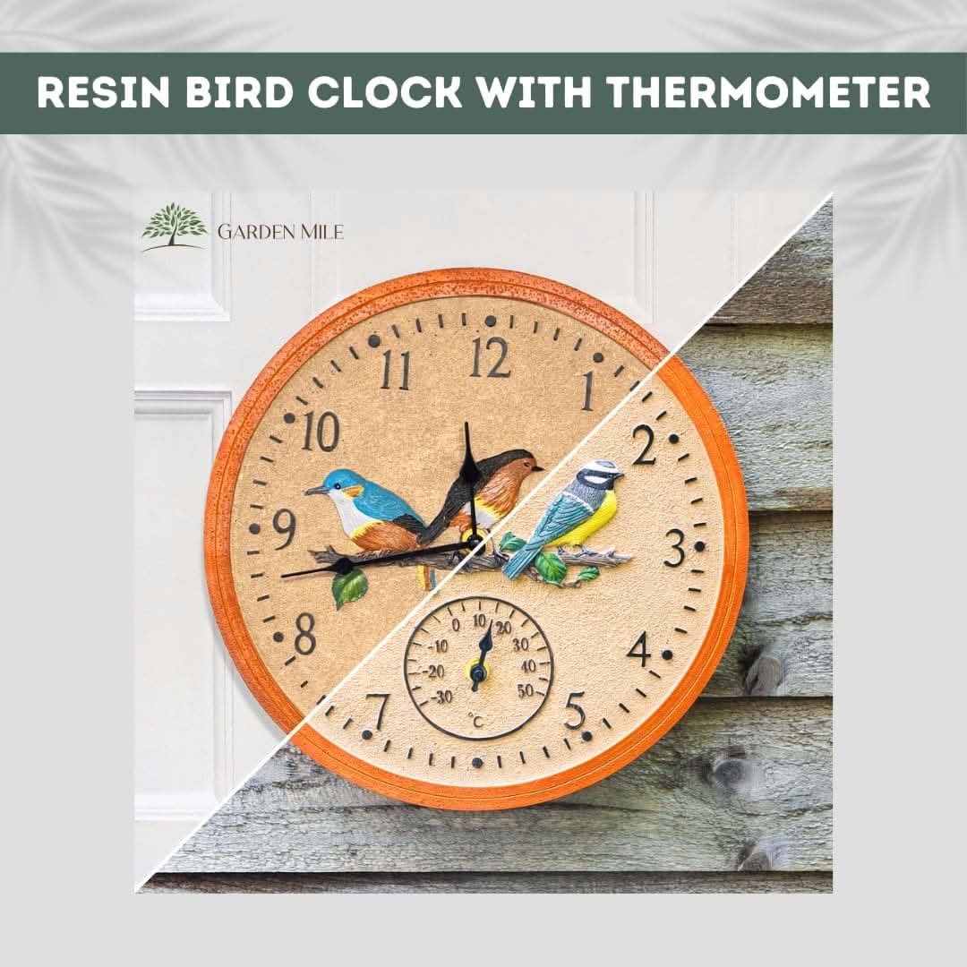 Vintage Bird Wall Clock and Thermometer