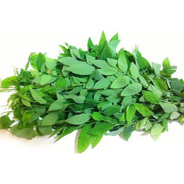 Fresh Sweet Leaf Bush/Rau Ngót 200g