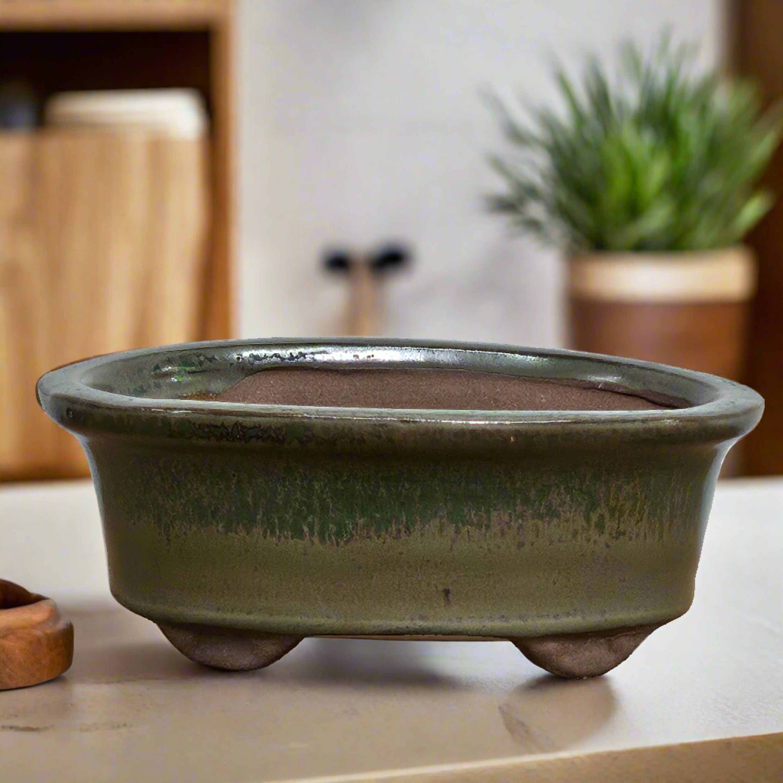 Elegant 12cm Oval Green Glazed Bonsai Pot for Indoor Gardening