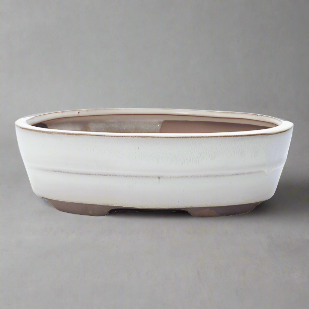 Stunning White Glazed Oval Bonsai Pot - 20cm x 17cm x 5cm