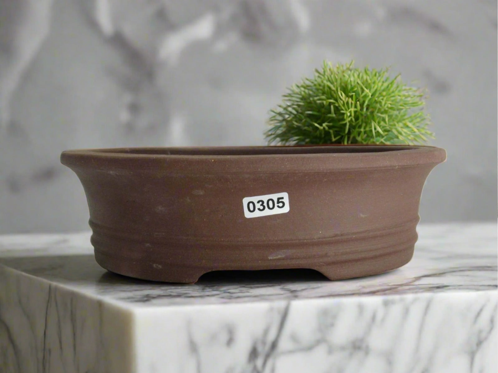 21cm Unglazed Bonsai Pot | Oval | 21cm x 18cm x 6cm | Brown