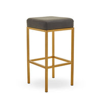 Baina Dark Grey And Gold Finish Bar Stool