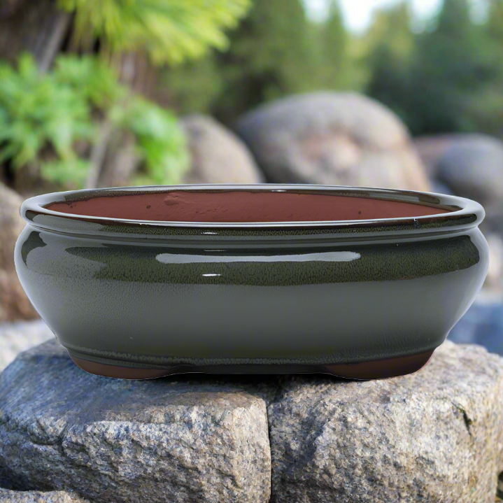 Olive Green Glazed Oval Bonsai Pot - 26cm