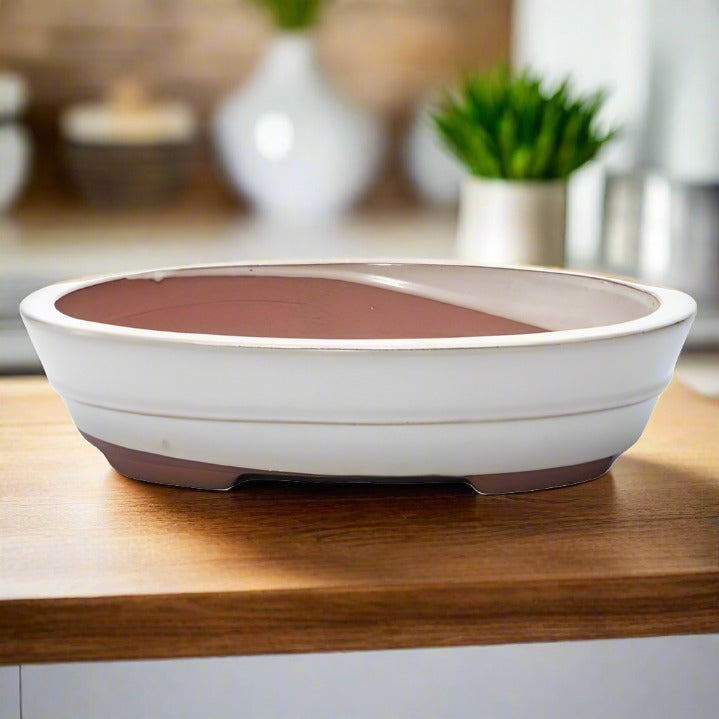 26cm Glazed Bonsai Pot | Oval | 26cm x 20cm x 6cm | White