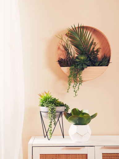 Fiori White Cement Pot Succulent