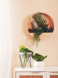 Fiori White Cement Pot Succulent