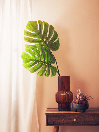 Fiori 109cm Green Stem Monstera Palm