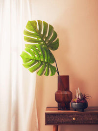 Fiori 109cm Green Stem Monstera Palm
