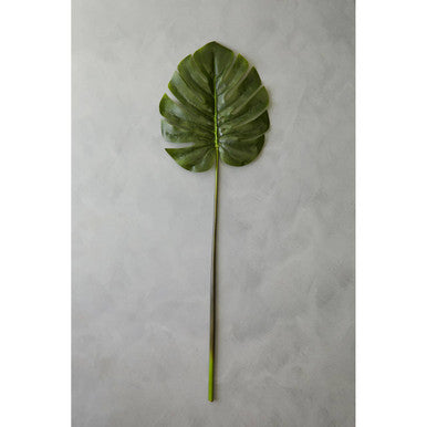 Fiori 109cm Green Stem Monstera Palm