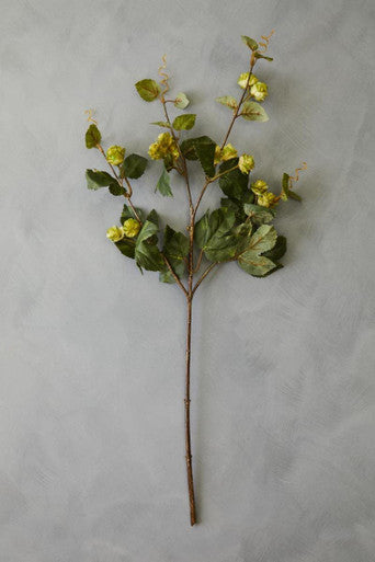 Fiori Faux Pale Lime Hops Stem