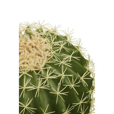 Fiori Cactus