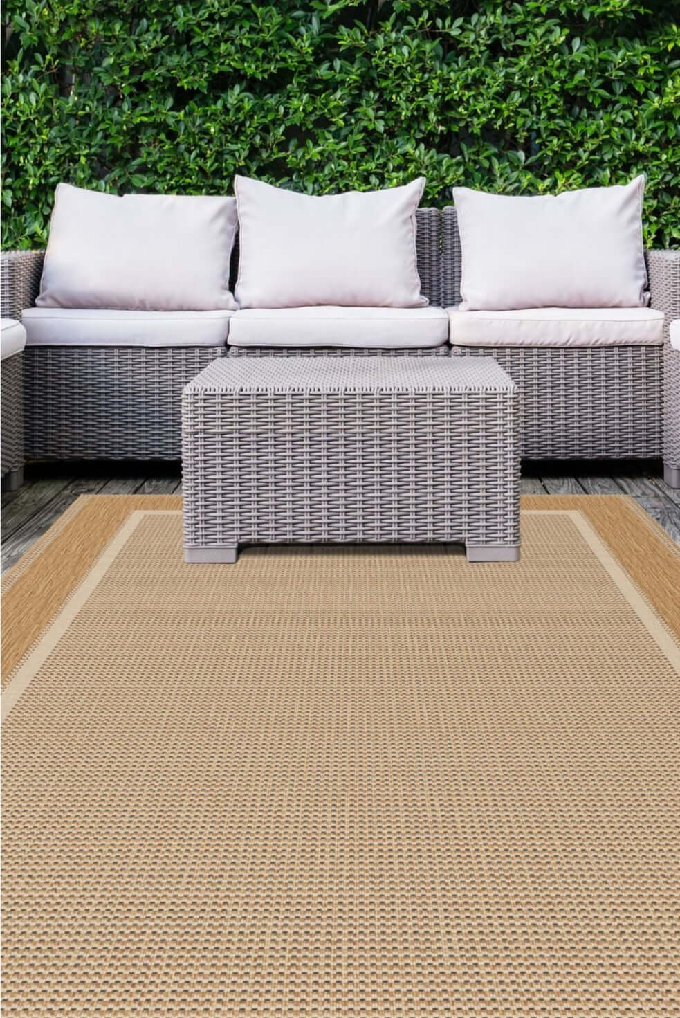 Denver Bordered Indoor/Outdoor Rug | 1589