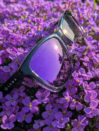 Luma Sunglasses - Harlyn - Purple