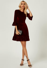 Velvet Frill Detail Mini Dress In Wine