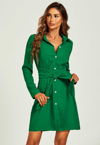 Shirt Mini Wrap Dress In Green