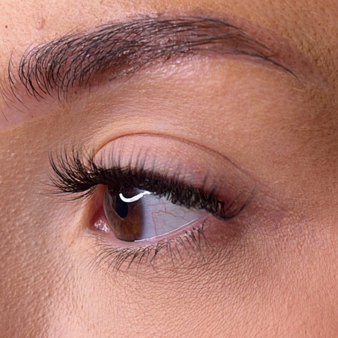 **NEW** Pre-Glued Lashes - K Glue No Faff Lash - Dee
