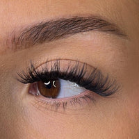 Pre-Glued Lashes - K Glue No Faff Lash - Fia