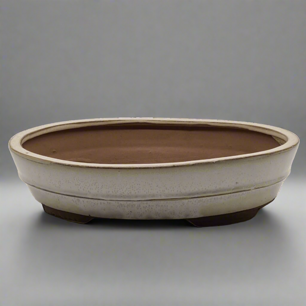 31cm Glazed Bonsai Pot | Oval | 31cm x 24cm x 7cm | White