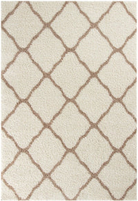 Moroccan Ivory Shaggy Rug | 730