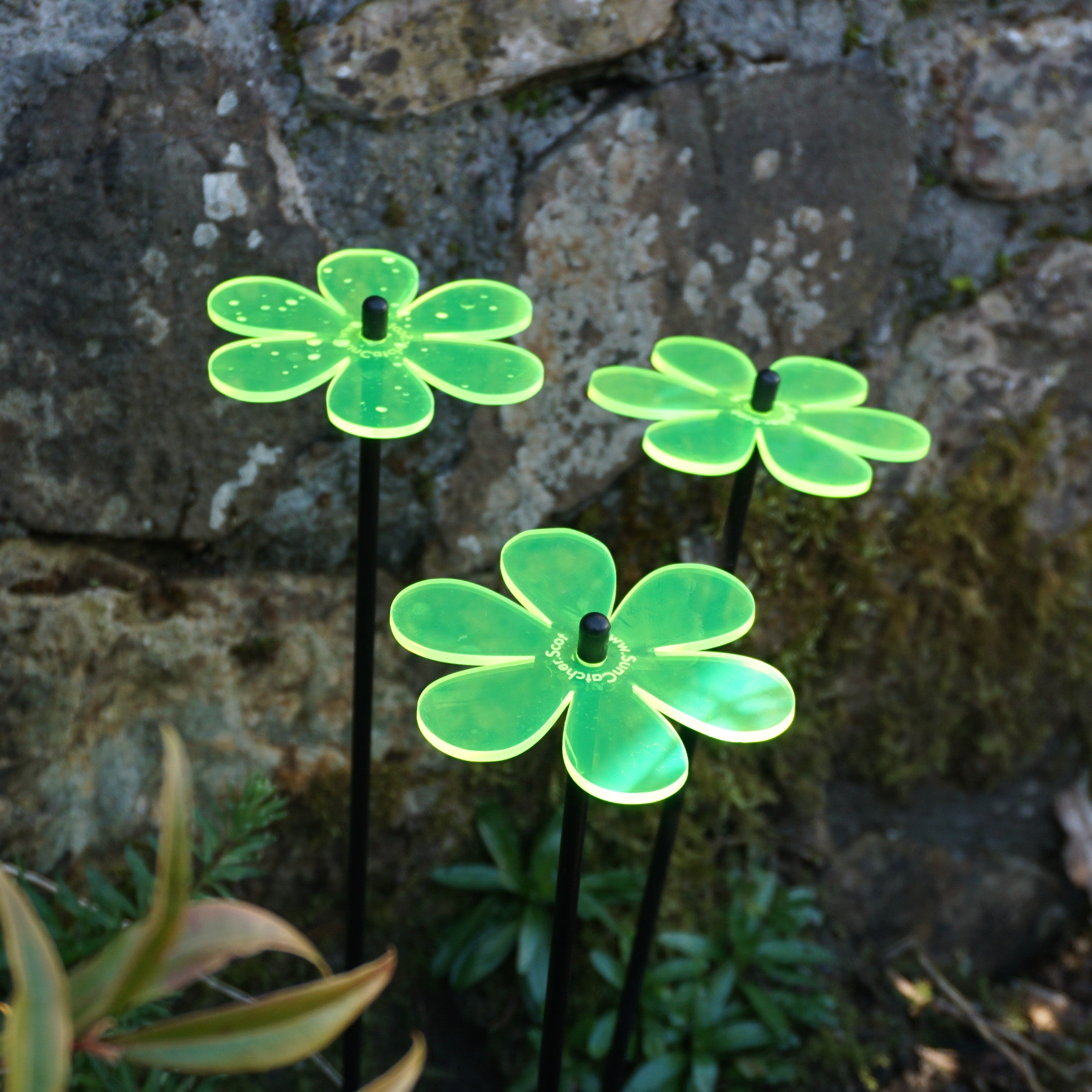 Garden Décor Ornaments Set of 3 'Daisies'