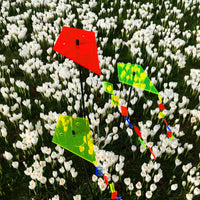 Large Garden Décor Ornaments Set of 3 'Kites with Tail'