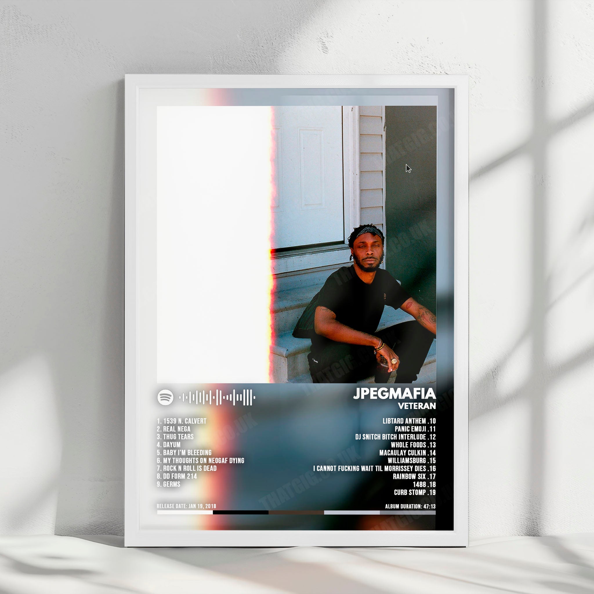Jpegmafia "Veteran" Album Cover Poster - with Complete Tracklist