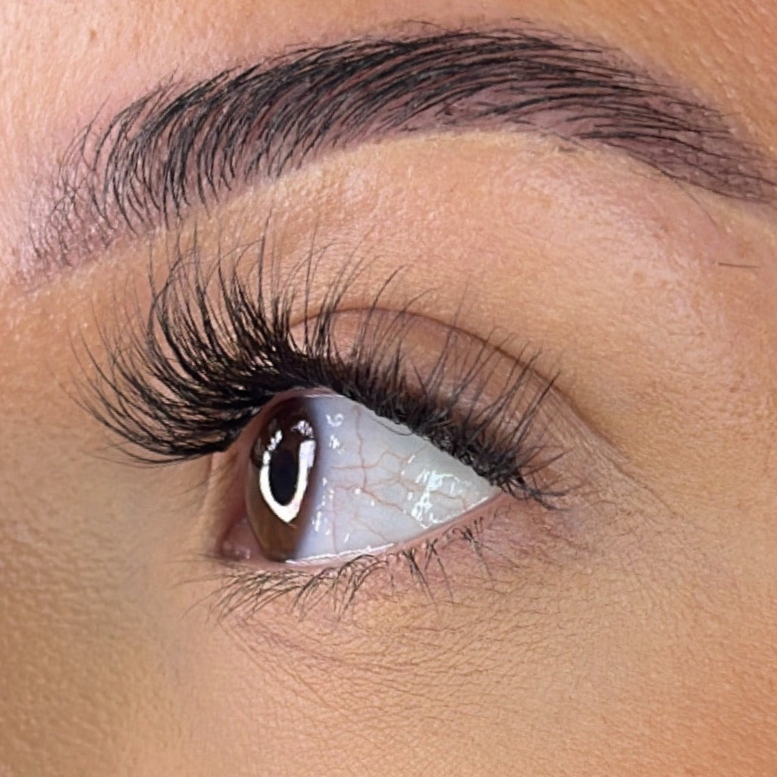 Pre-Glued Lash Clusters -  Faff Lash - Mia