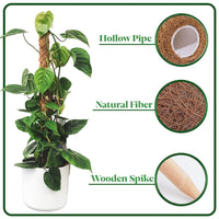 4pc Moss Coir Pole Plant Supports - Fibre Sticks with Spikes