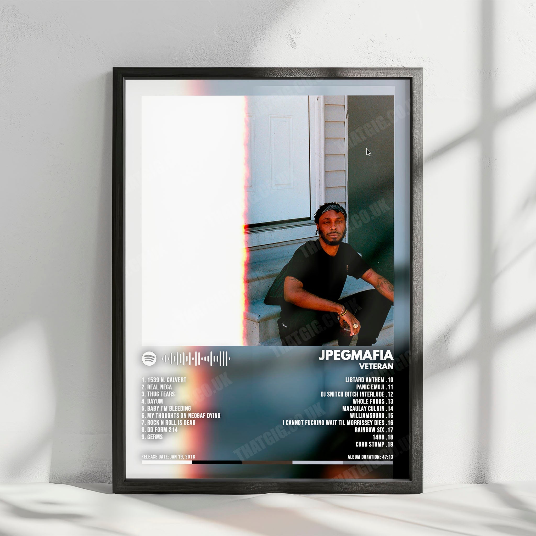 Jpegmafia "Veteran" Album Cover Poster - with Complete Tracklist