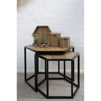 Babita Set of 2 Hexagon Side Tables