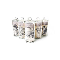 Mr Sci Glass Specimen Jar & Science Tote Bag Fighting Forever (Beetle)
