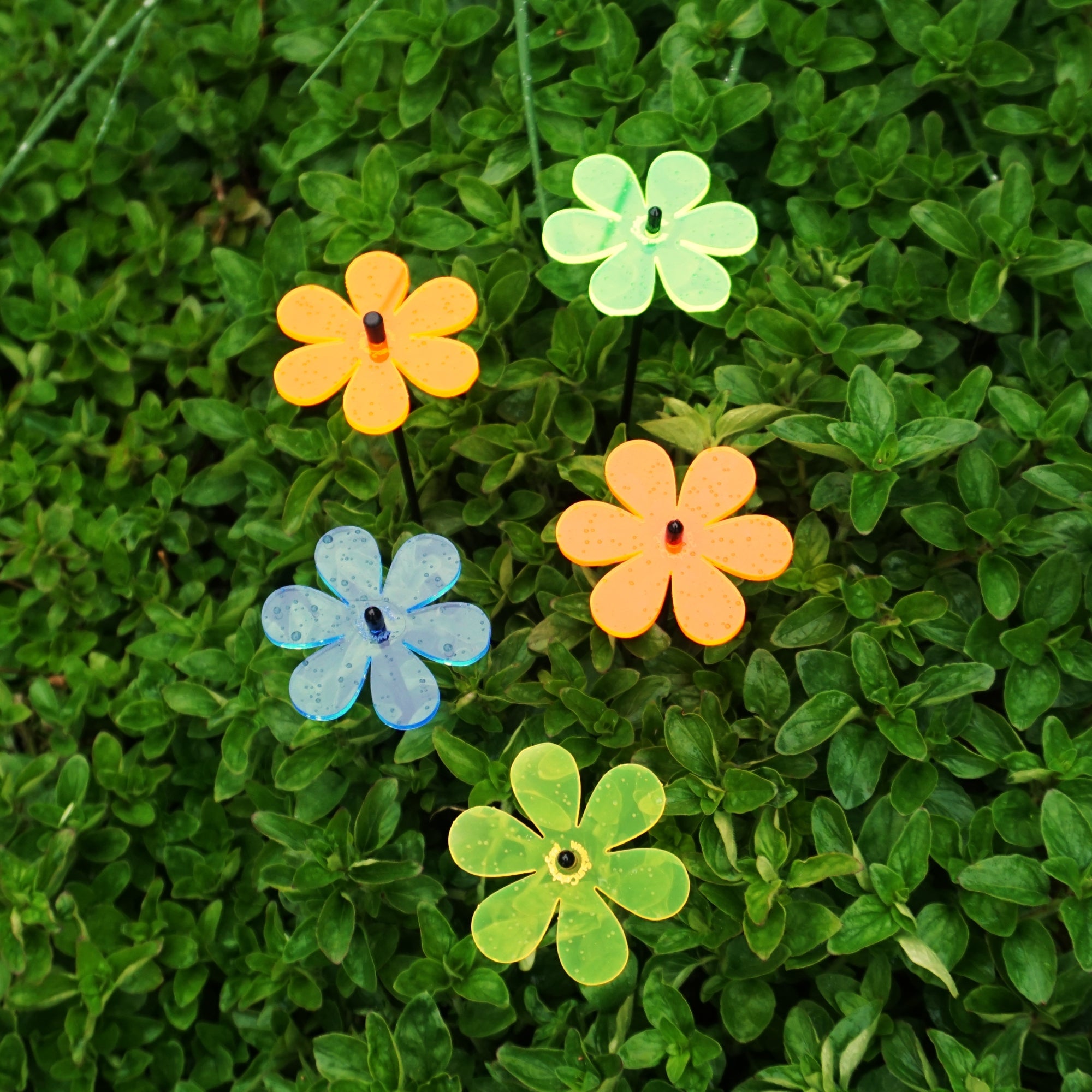 Small Garden Décor Ornaments Set of 5 'Daisy'