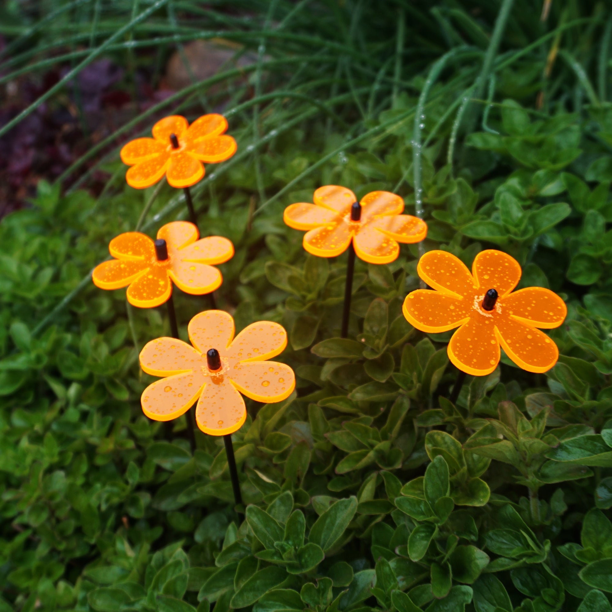 Small Garden Décor Ornaments Set of 5 'Daisy'