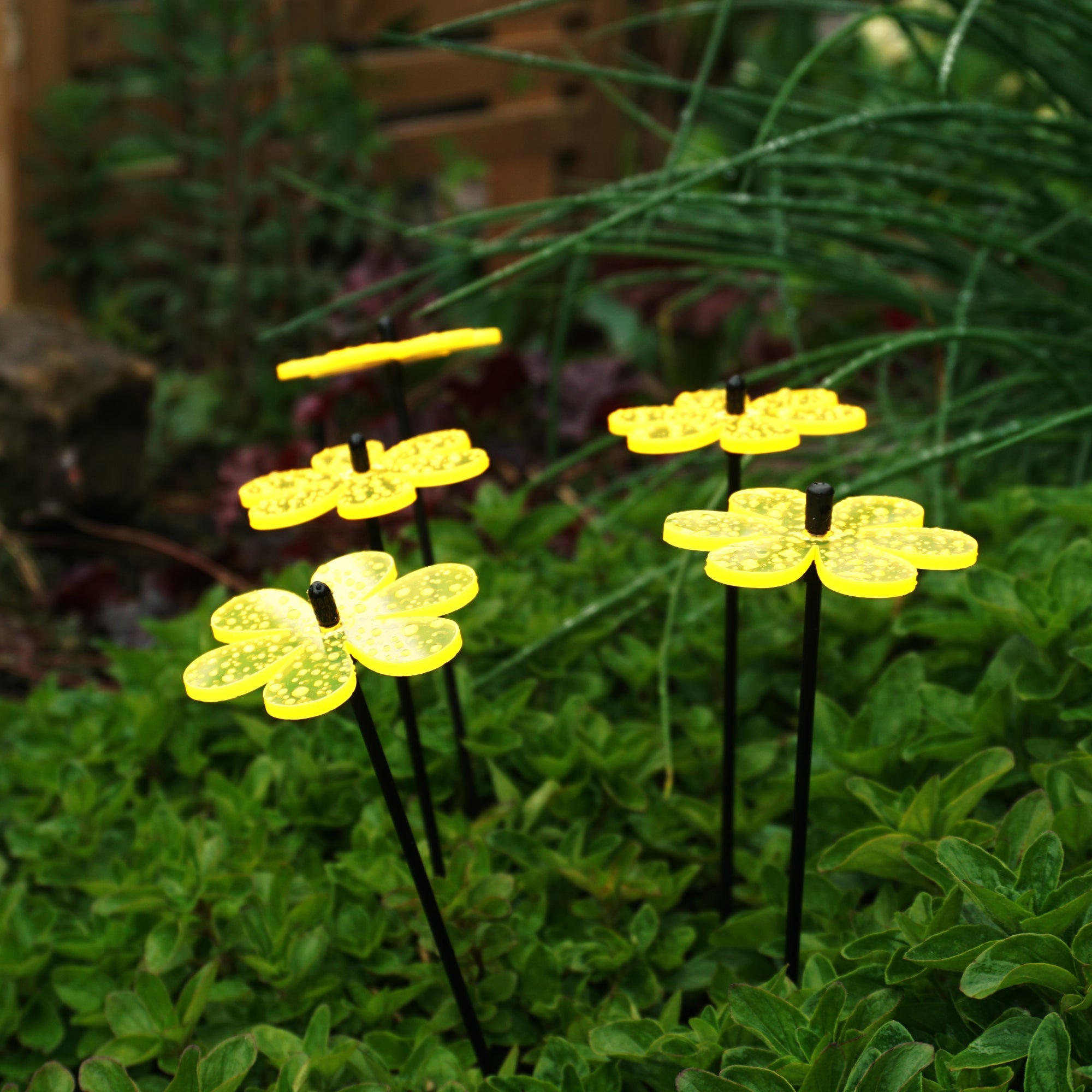 Small Garden Décor Ornaments Set of 5 'Daisy'
