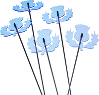 Large Garden Décor Ornaments Set of 5 'Scottish Thistles'