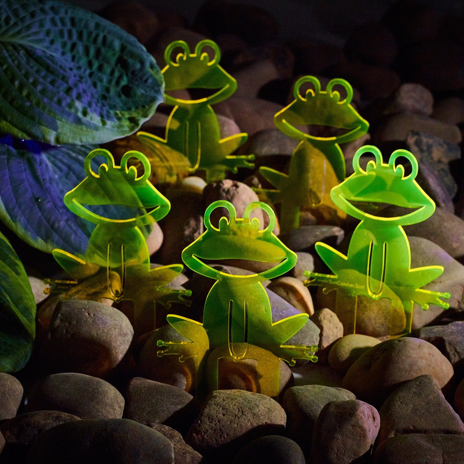 Garden Décor Ornament Stakes Set of 5 'Happy Frogs'