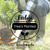 booheads - 1PK - Bamboo Toothbrush - Green | Biodegradable, bamboo and plant-based