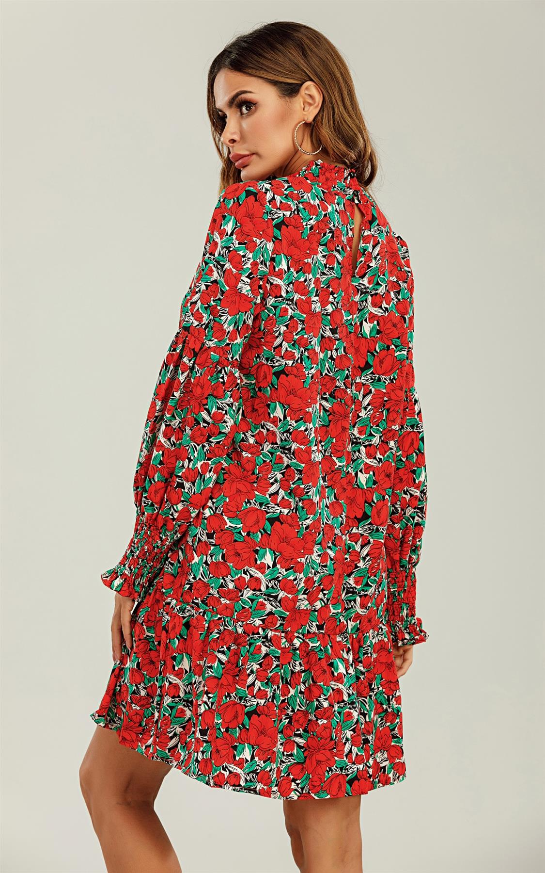 Frill Detail High Neck Shift Dress In Red & Green Floral